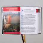 La Gran Aventura de la Biblia Católica para Principiantes