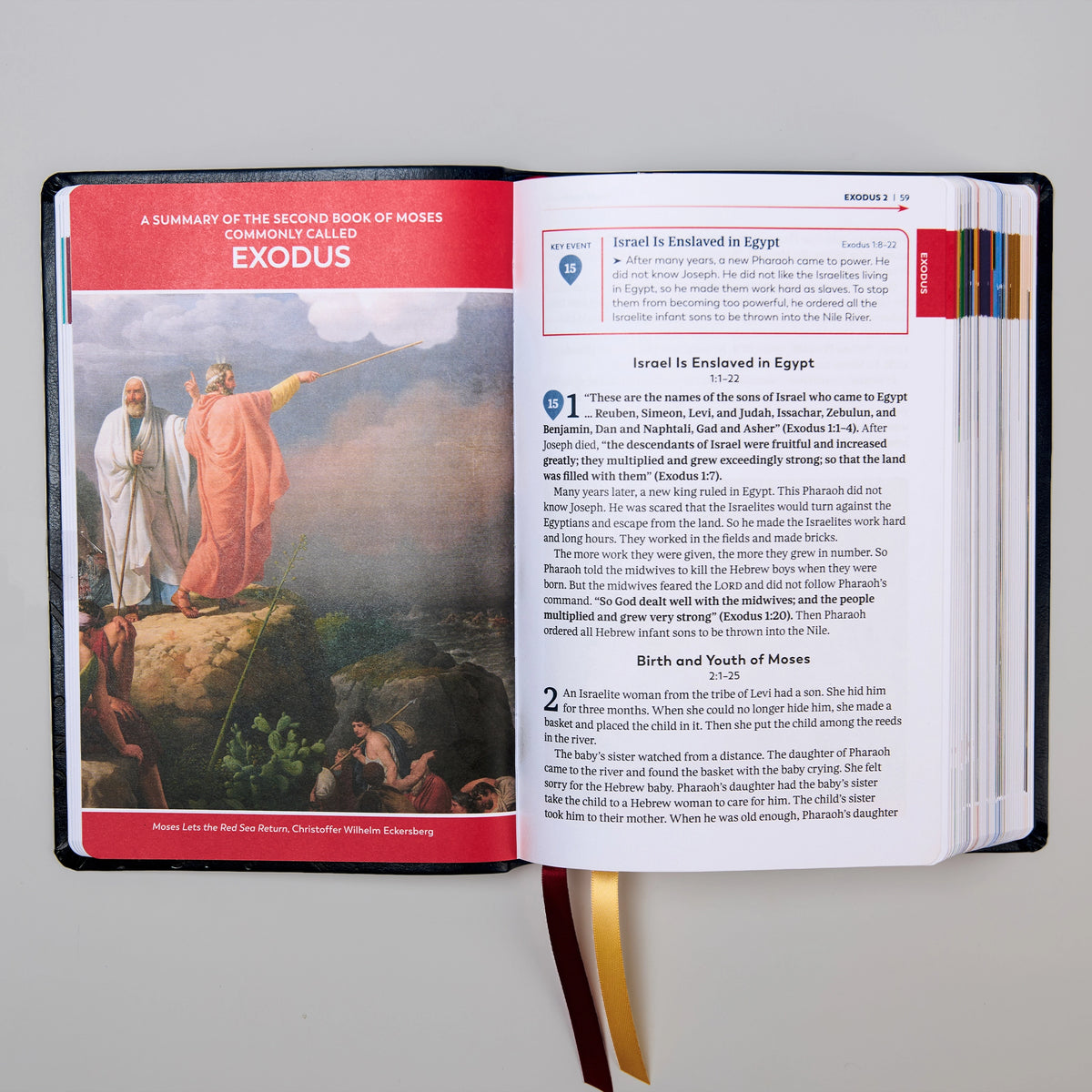La Gran Aventura de la Biblia Católica para Principiantes