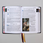 La Gran Aventura de la Biblia Católica para Principiantes