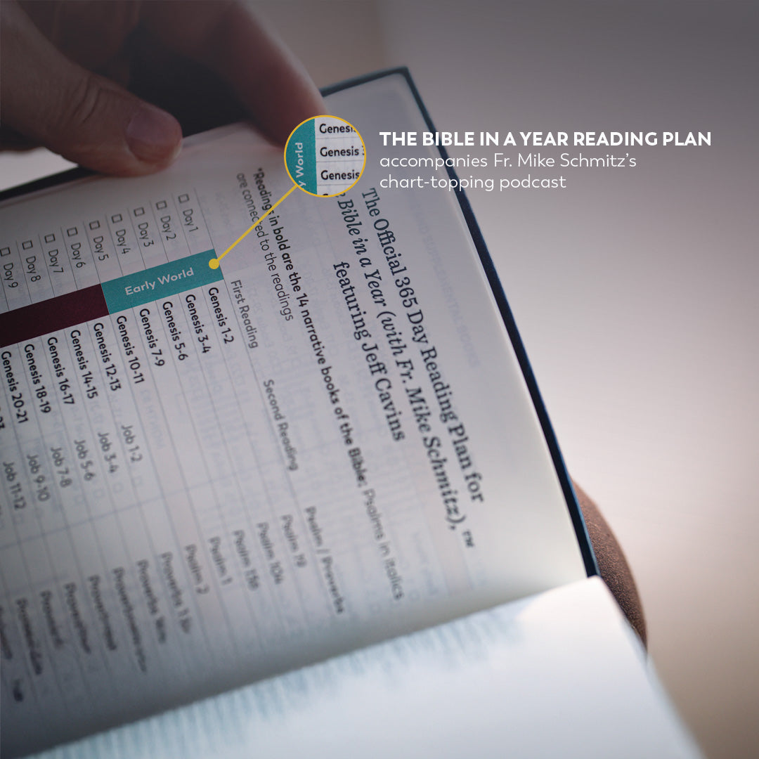 Holy Bible - The Great Adventure Catholic Bible, Second Edition