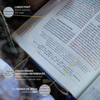 Holy Bible - The Great Adventure Catholic Bible, Second Edition