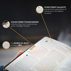 Holy Bible - The Great Adventure Catholic Bible, Second Edition