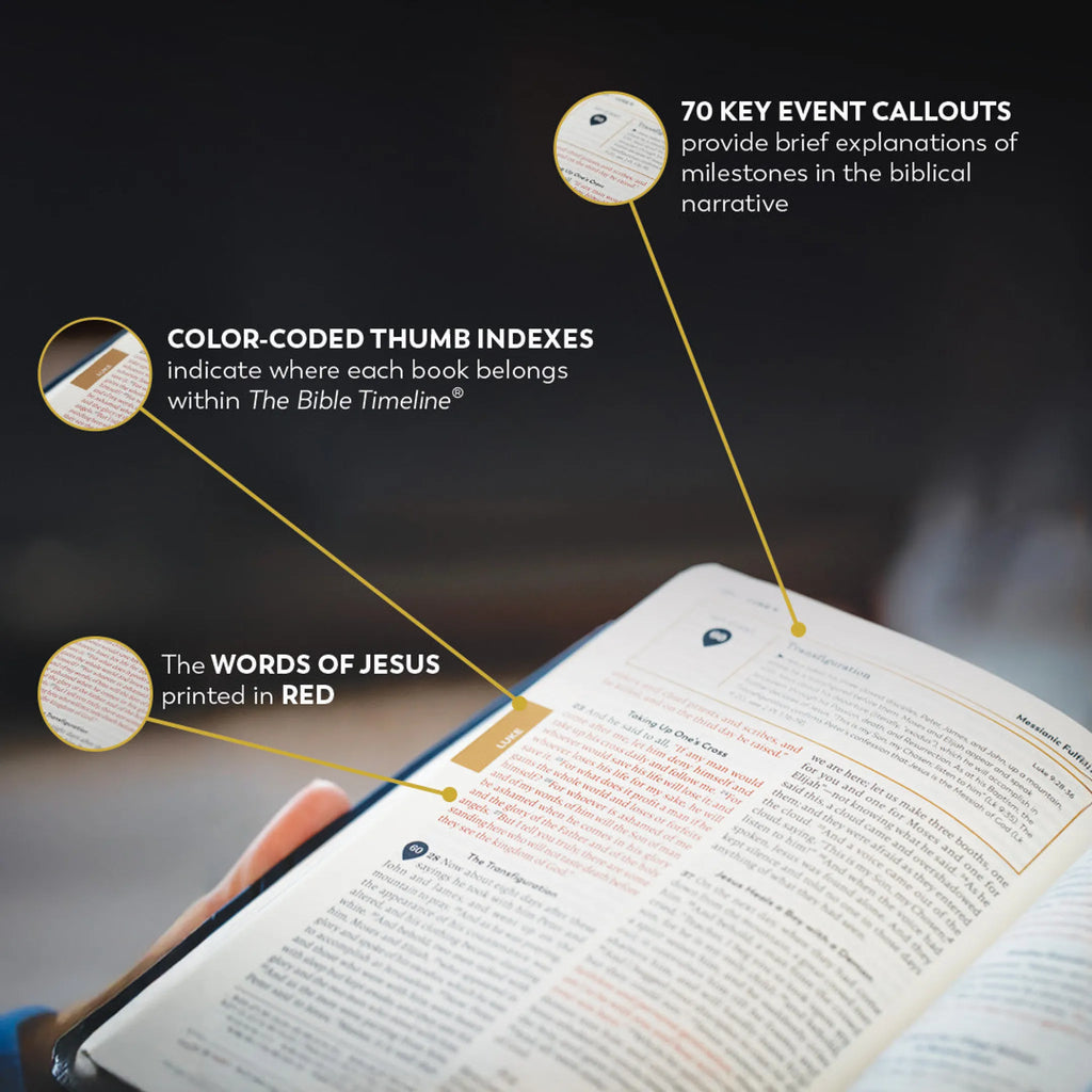 Holy Bible - The Great Adventure Catholic Bible, Second Edition