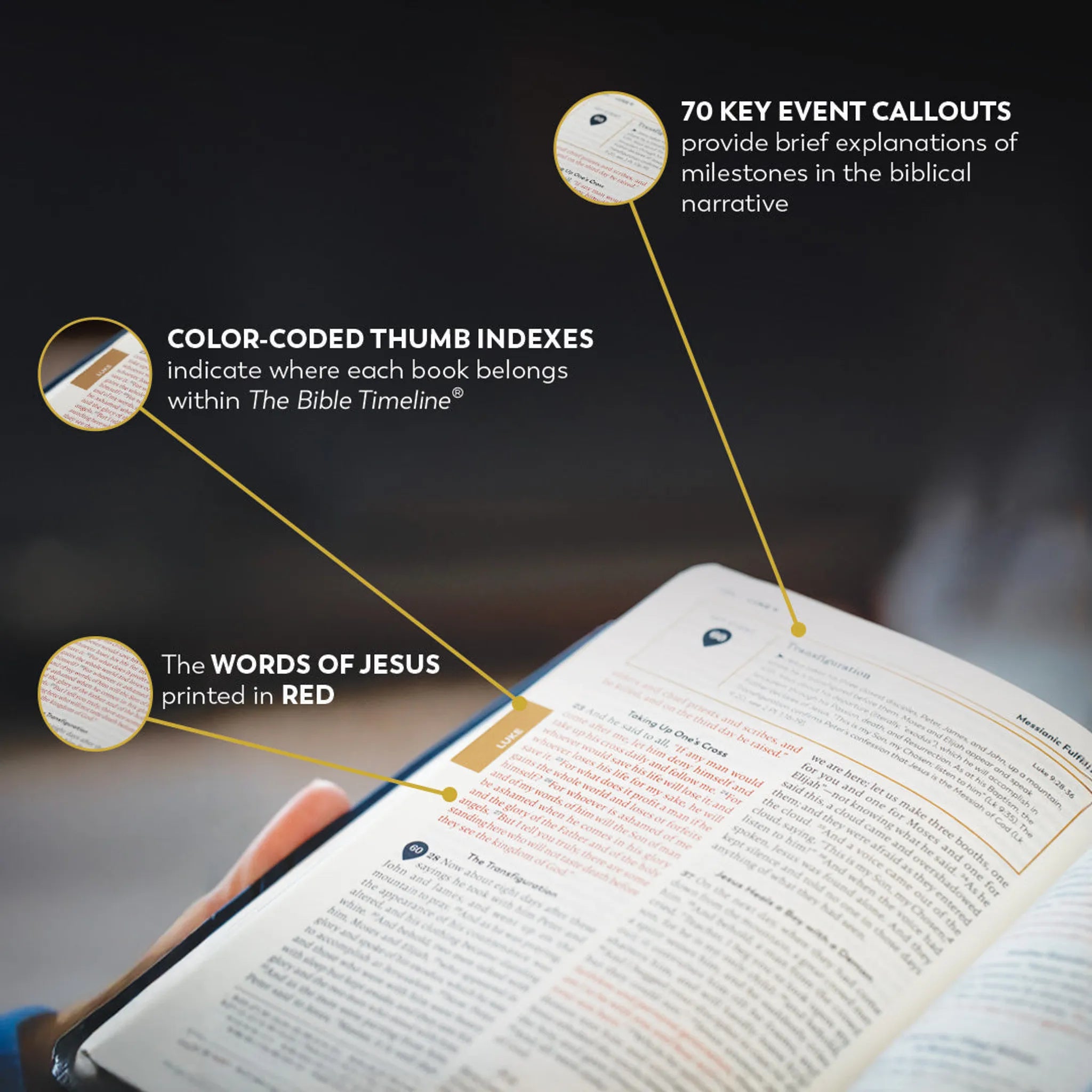 Holy Bible - The Great Adventure Catholic Bible, Second Edition