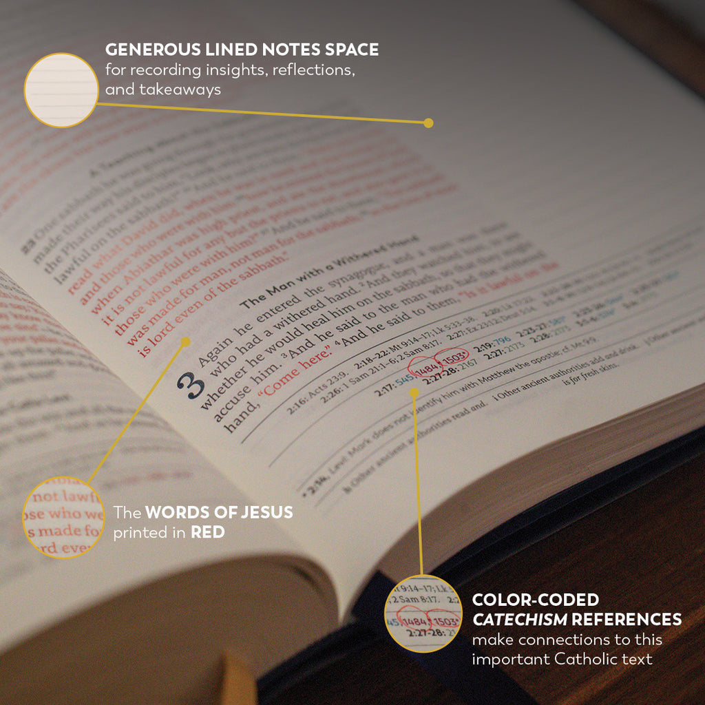 Holy Bible - The Great Adventure Catholic Bible, Second Edition