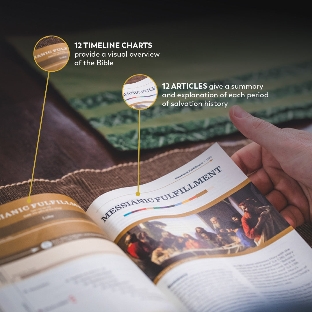 Holy Bible - The Great Adventure Catholic Bible, Second Edition