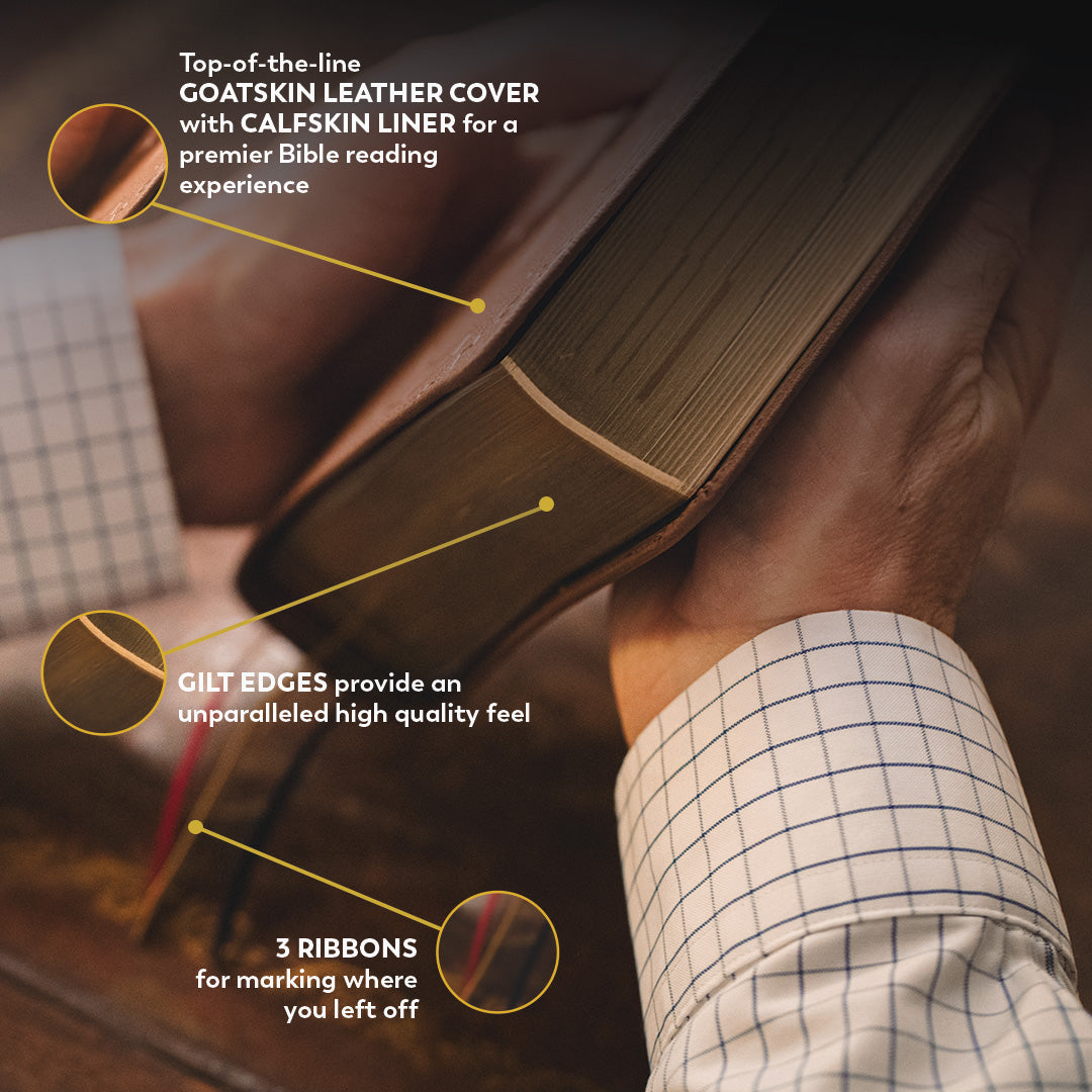 Holy Bible - The Great Adventure Catholic Bible, Second Edition