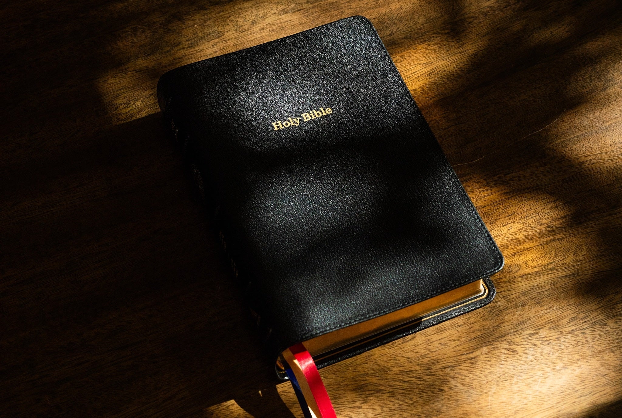The Limited Edition Great Adventure Catholic Bible | Announcement