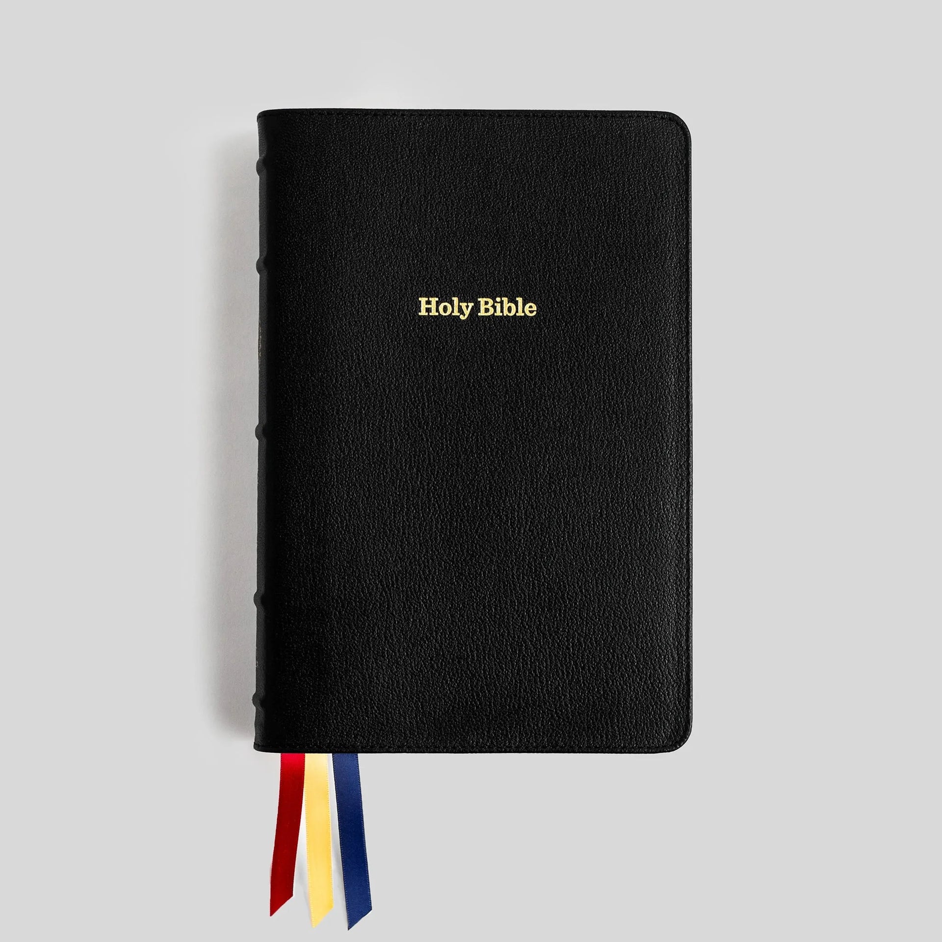 Holy Bible | The Great Adventure Catholic Bible – Ascension