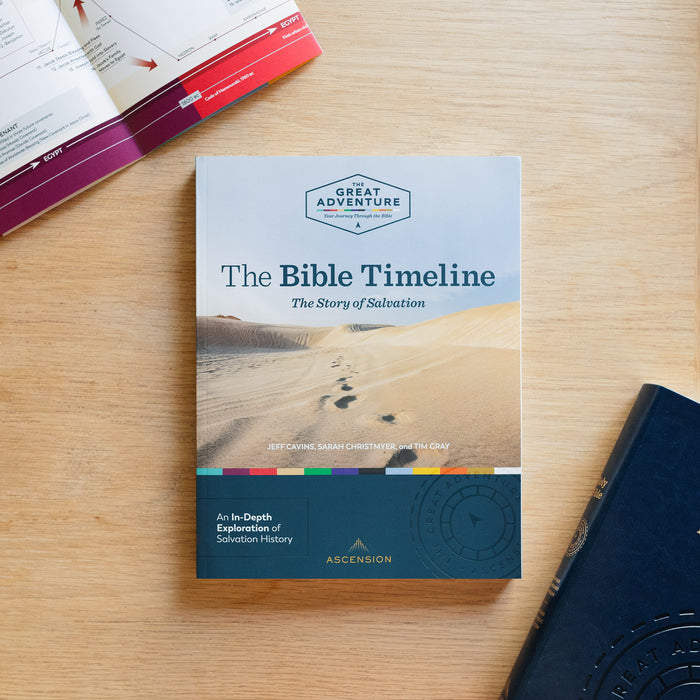 The Bible Timeline: The Story of Salvation, Study Set