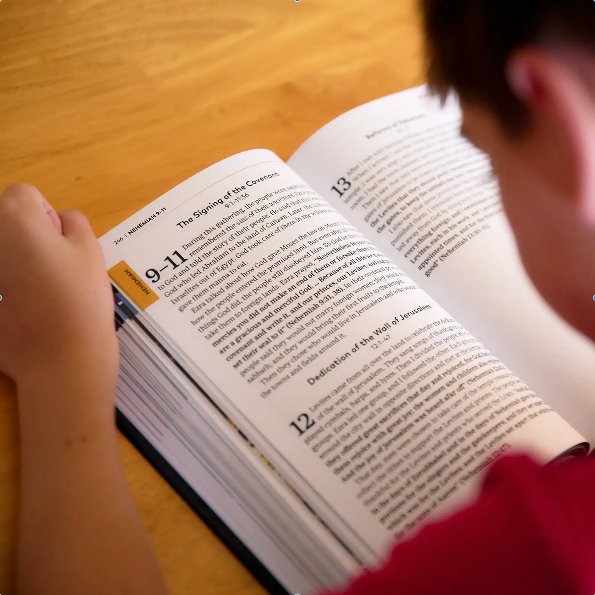 The Great Adventure Catholic Bible For Beginners