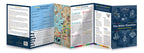 The Bible Timeline Chart for Teens