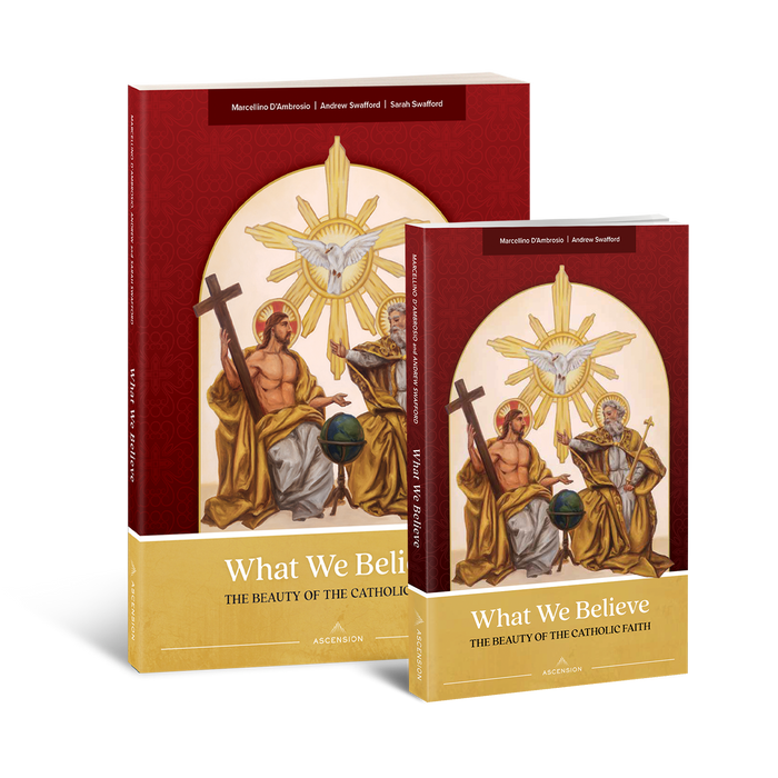 What We Believe: The Beauty of the Catholic Faith, Study Set