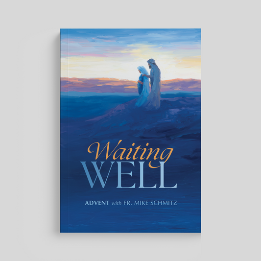 Waiting Well: Advent with Fr. Mike Schmitz, Journal