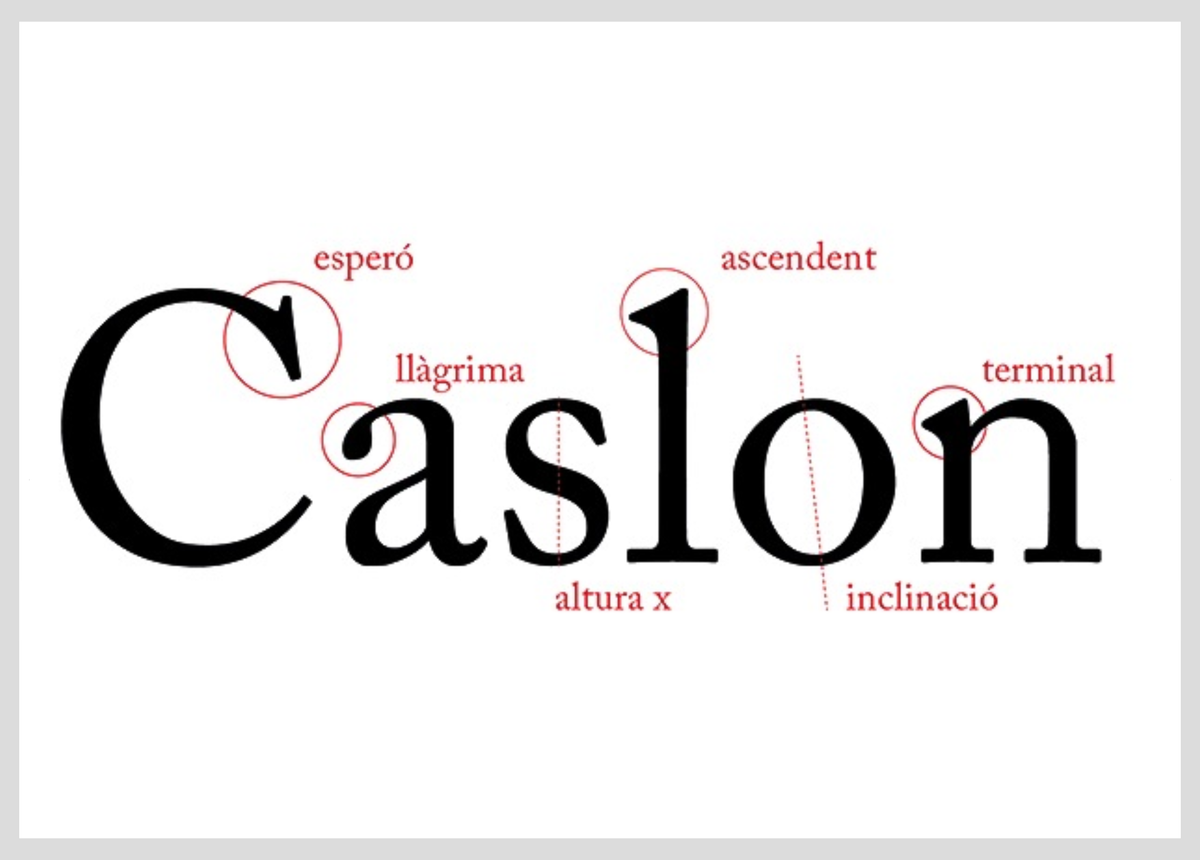 Discover the Inspiration Behind the Ascension Serif Font