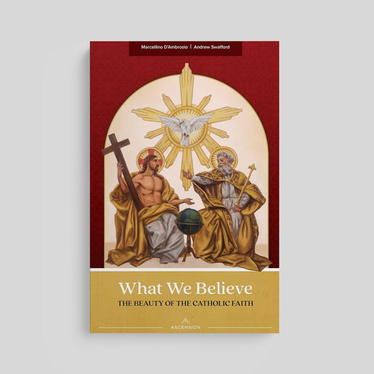 What We Believe: The Beauty of the Catholic Faith, Book