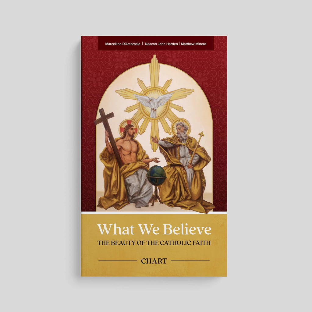 What We Believe: The Beauty of the Catholic Faith, Study Set