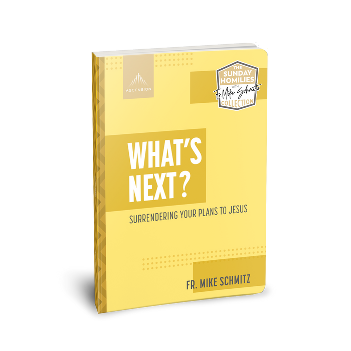 [E-BOOK] What's Next? Surrendering Your Plans to Jesus