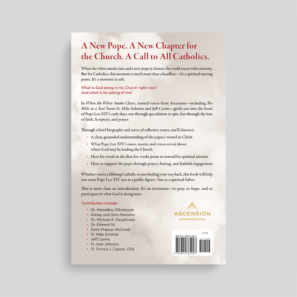 When the White Smoke Clears: A Guide to Pope Leo XIV's Early Days