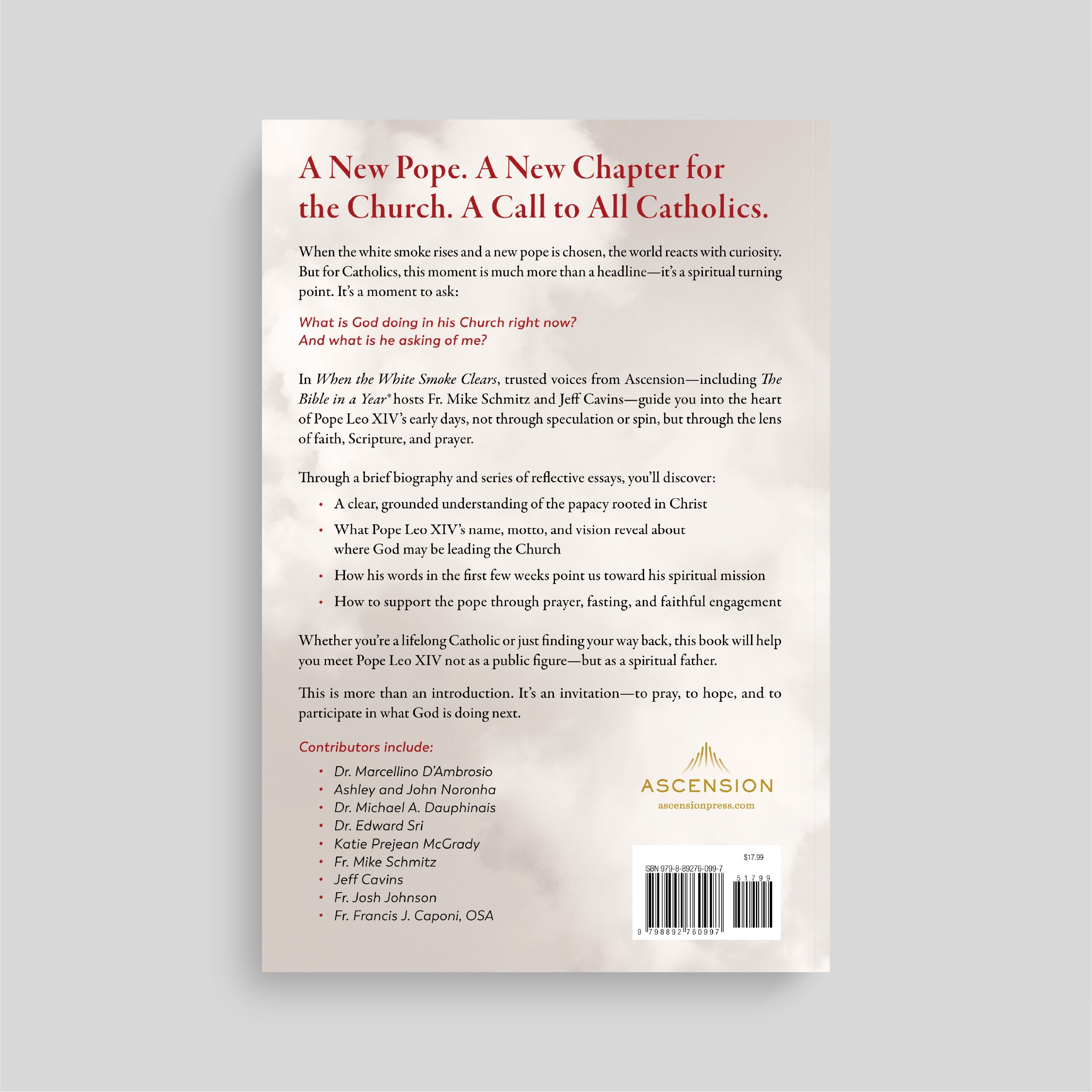 When the White Smoke Clears: A Guide to Pope Leo XIV's Early Days