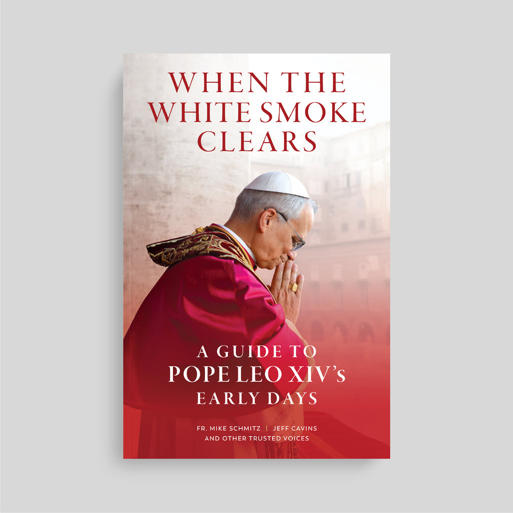 When the White Smoke Clears: A Guide to Pope Leo XIV's Early Days
