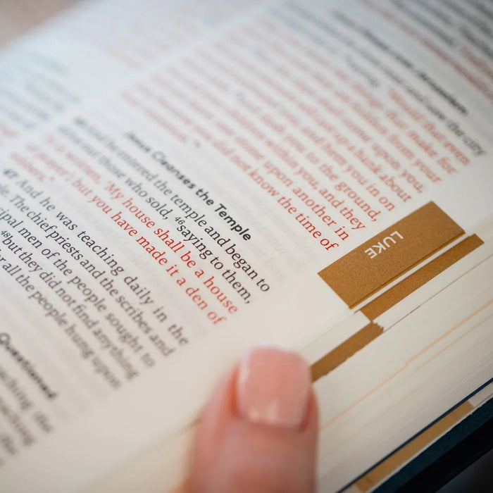 50 Questions - Great Adventure Catholic Bible