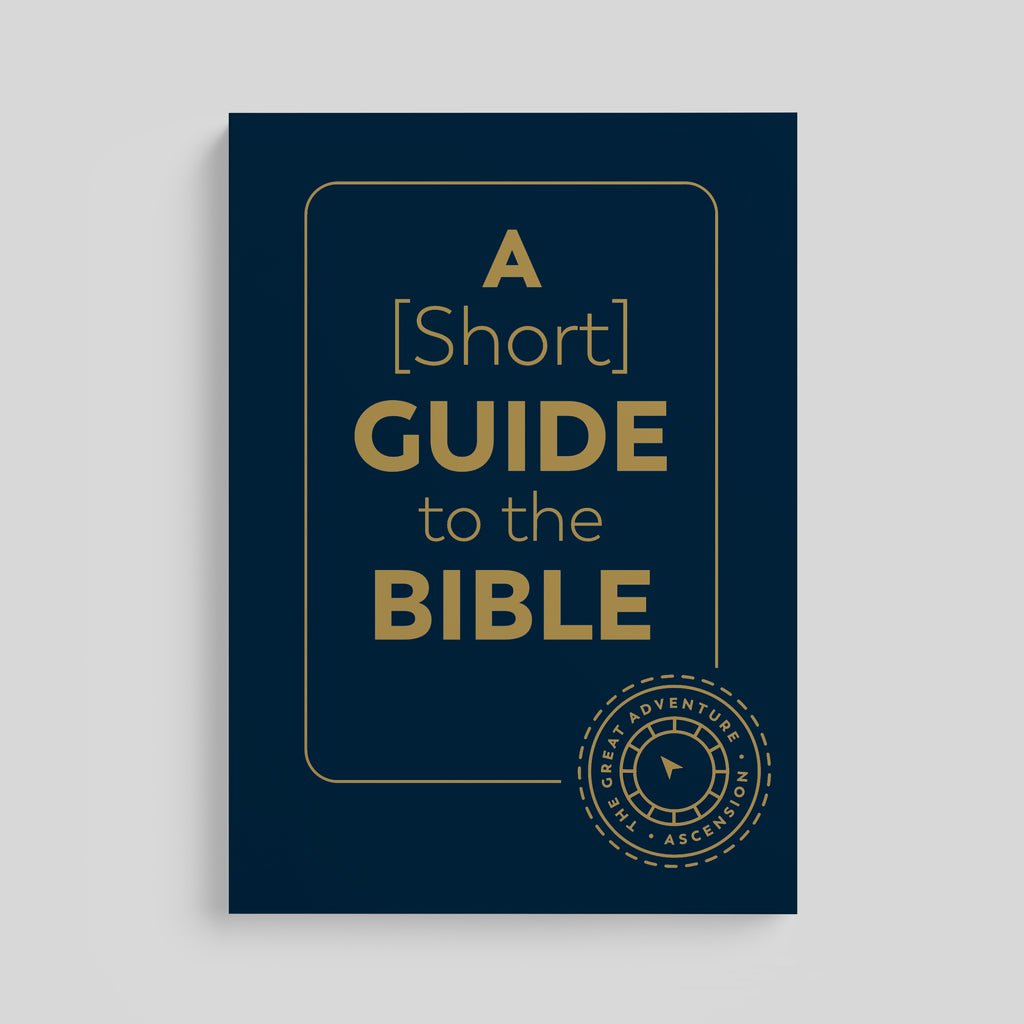 Una breve guía de la Biblia