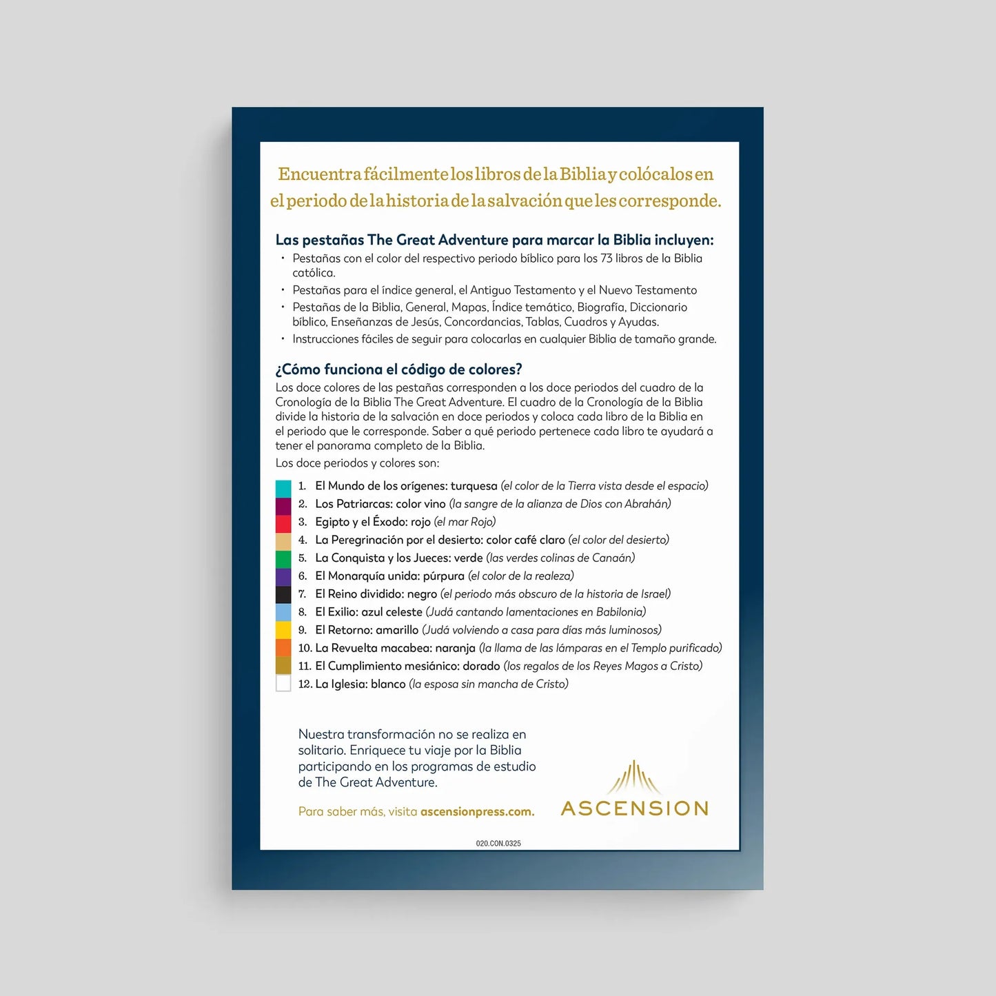 The Great Adventure Catholic Bible Indexing Tabs