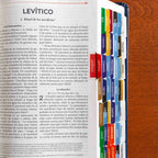 The Great Adventure Catholic Bible Indexing Tabs