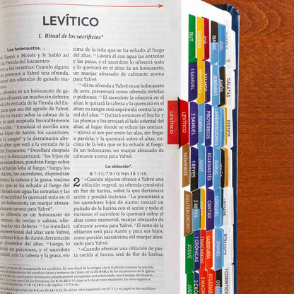 The Great Adventure Catholic Bible Indexing Tabs