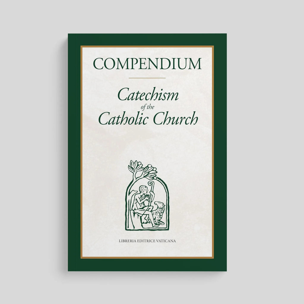 Paperback / English