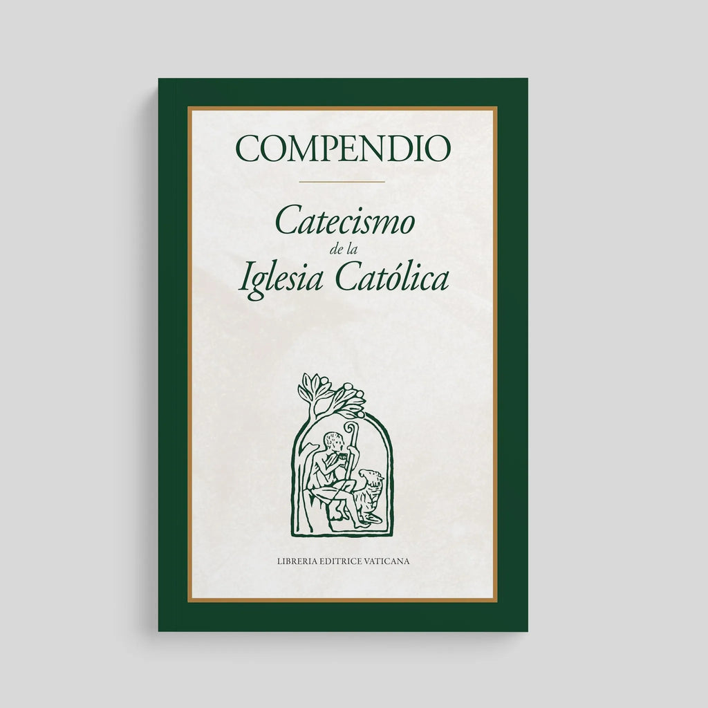 Paperback / Spanish