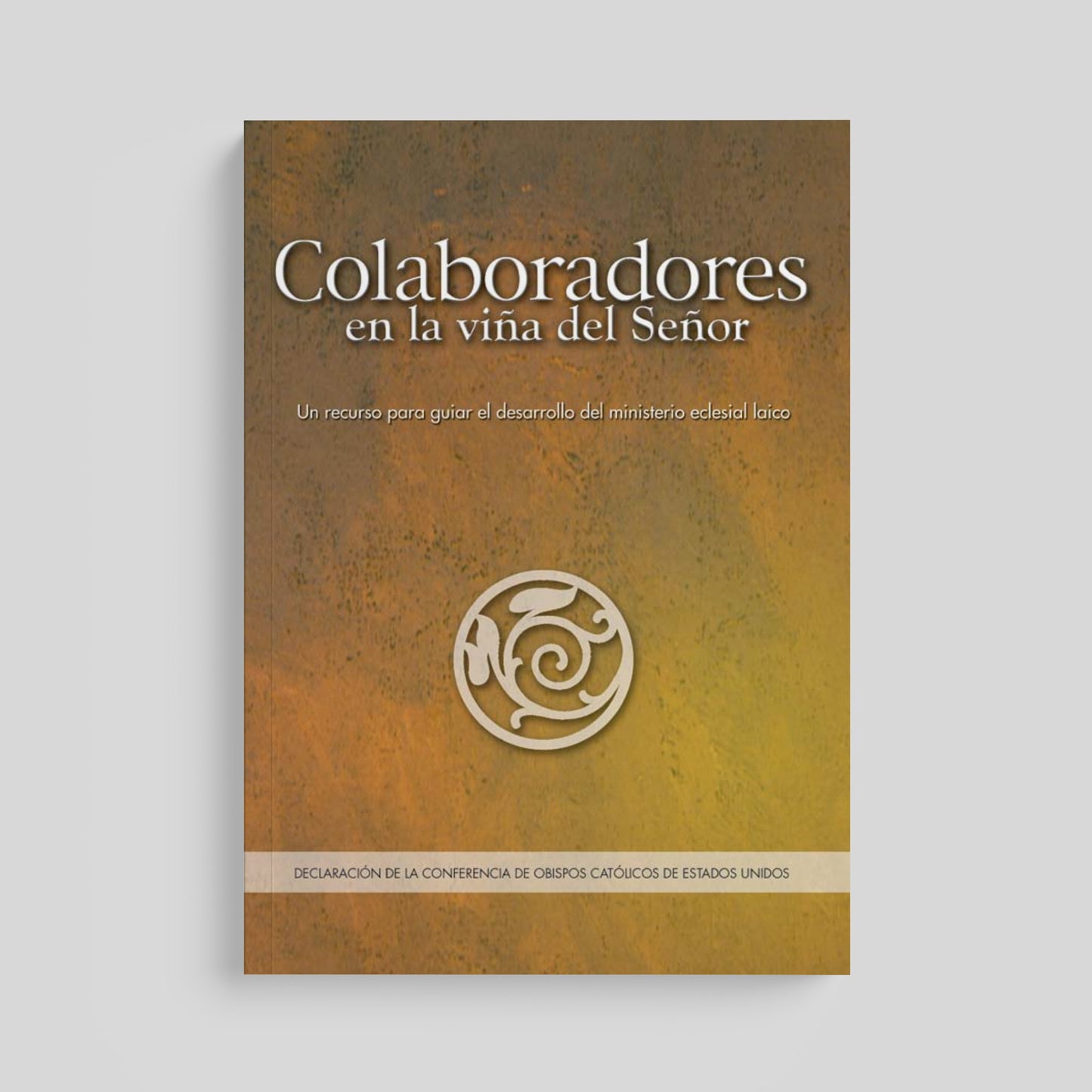 Co-Workers in the Vineyard of the Lord: A Resource for Guiding the Development of Lay Ecclesial Ministry