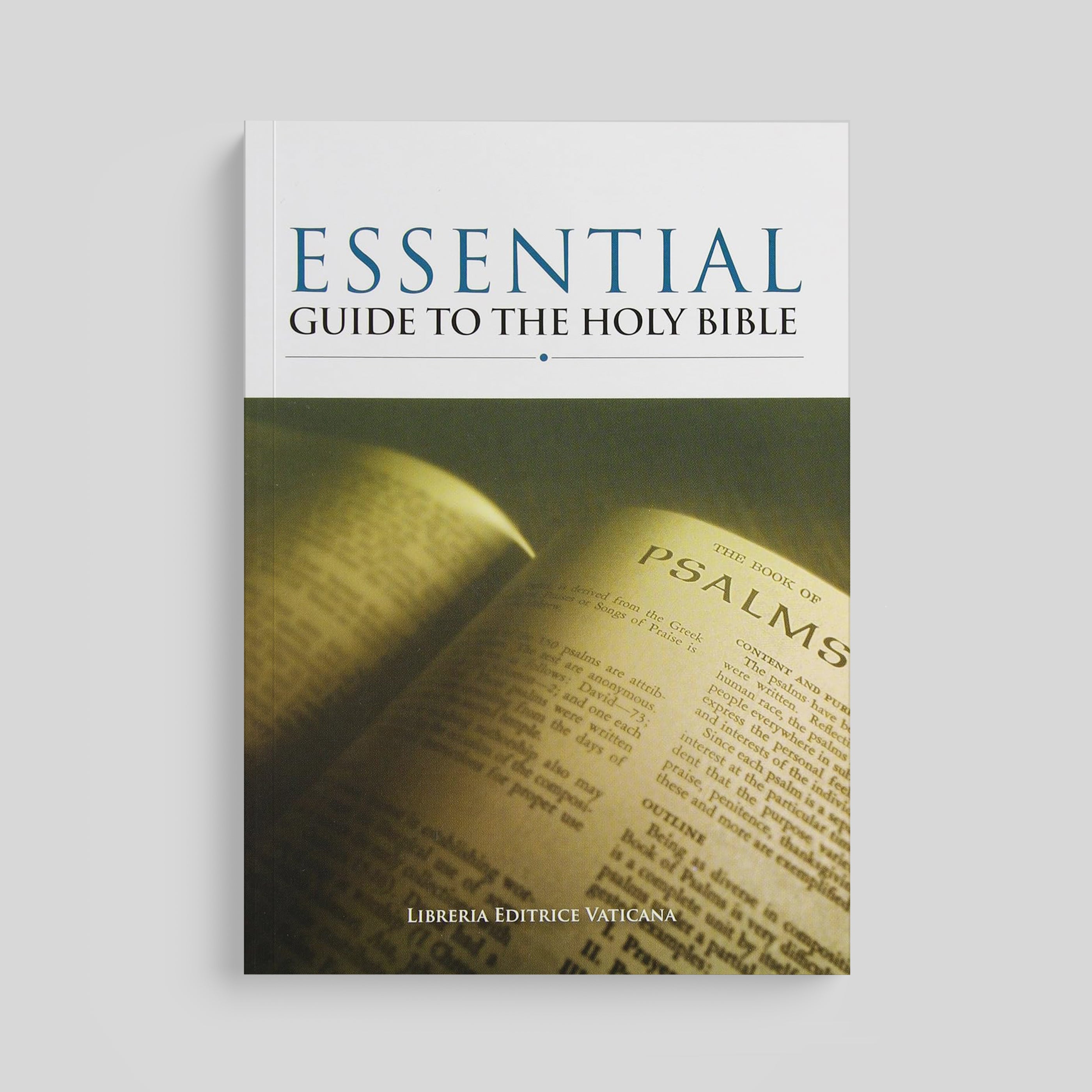 Guía esencial de la Santa Biblia