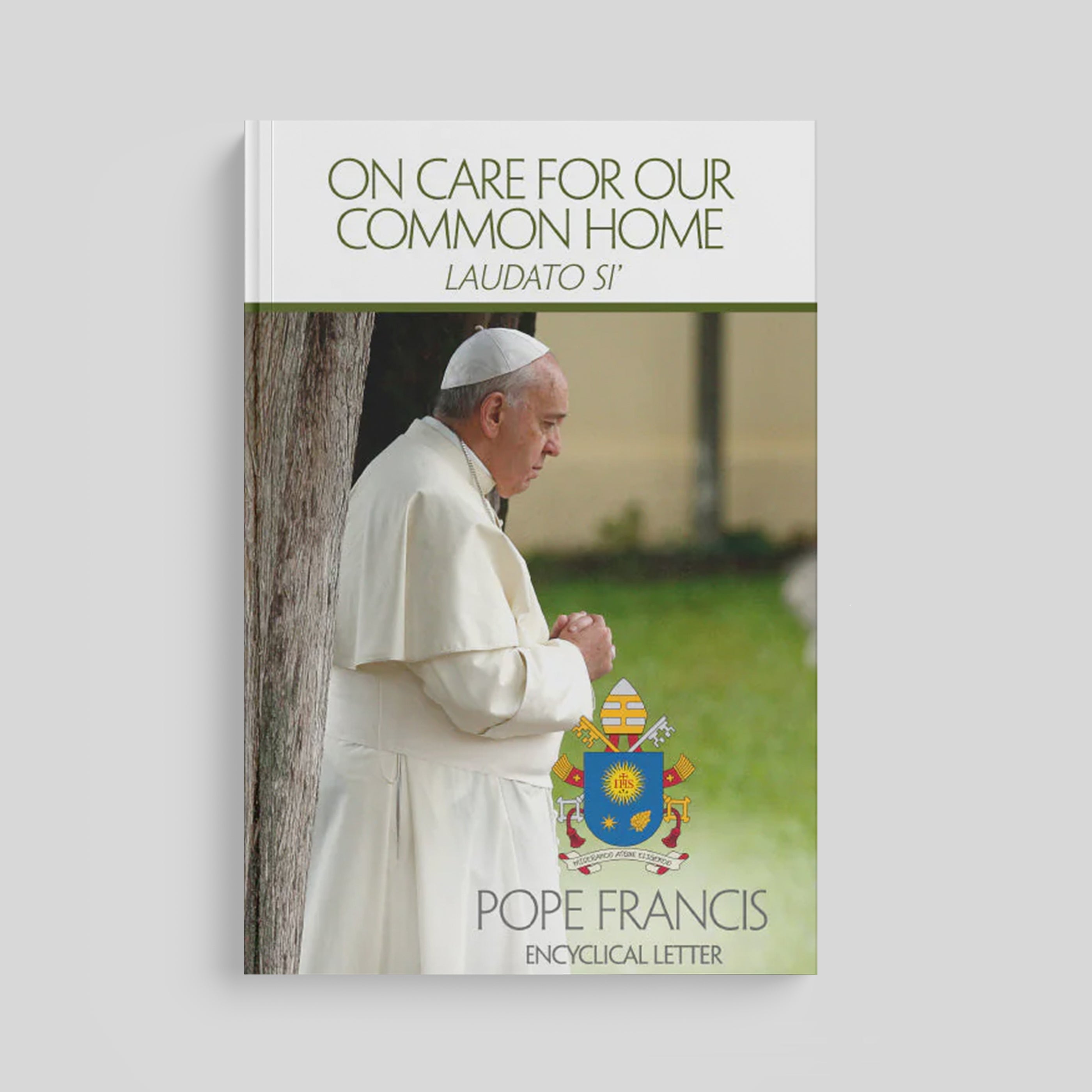 Sobre el cuidado de la casa común (Laudato si')