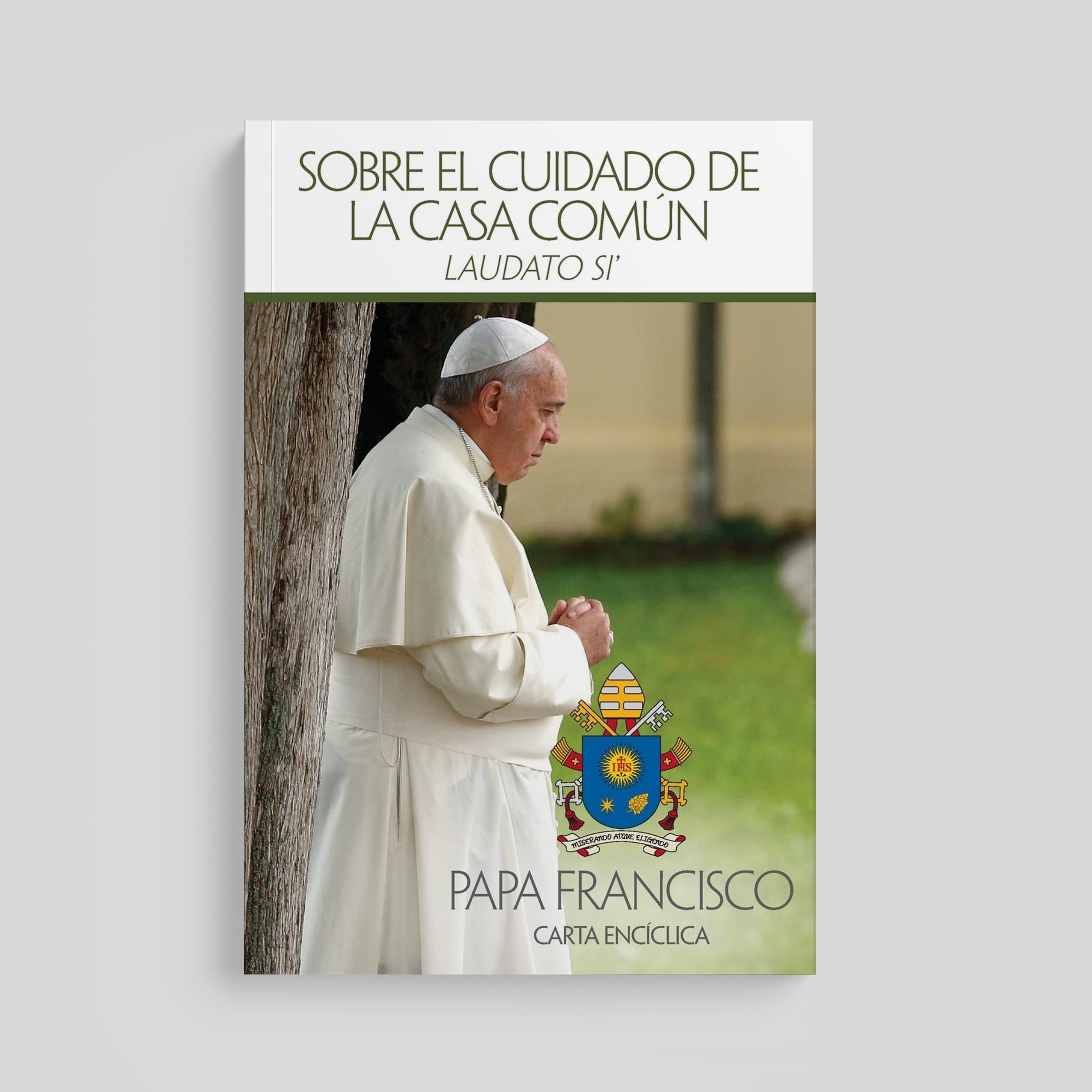Sobre el cuidado de la casa común (Laudato si')