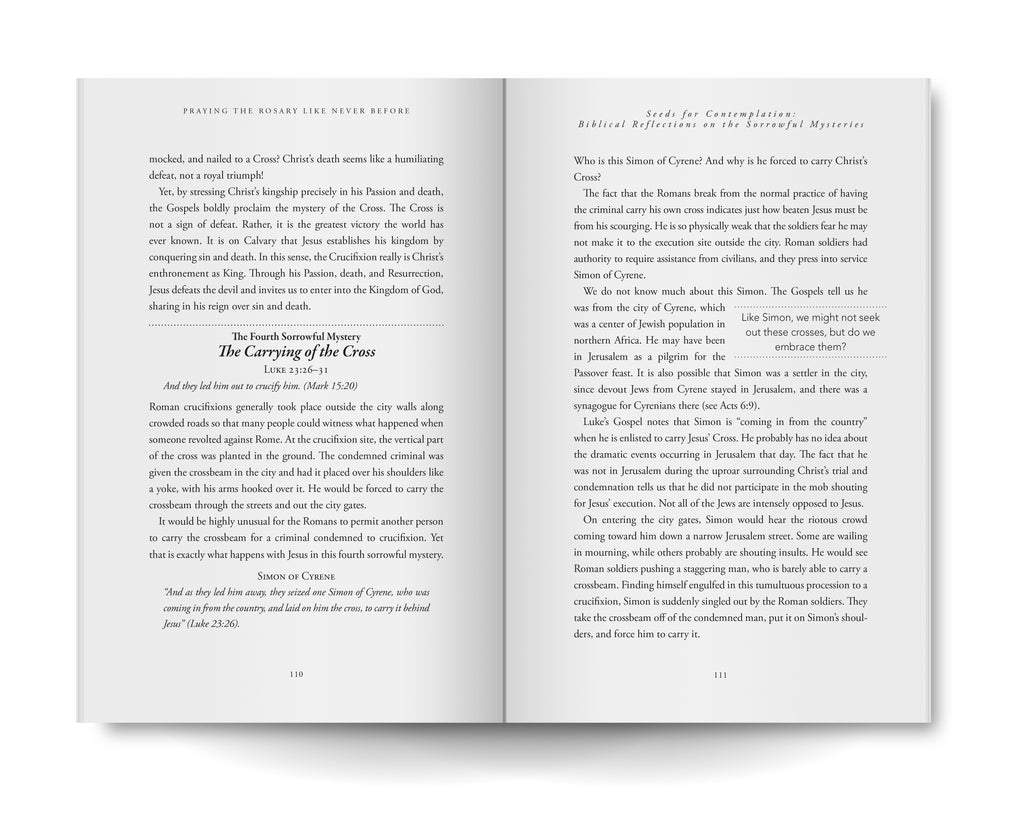 Paperback