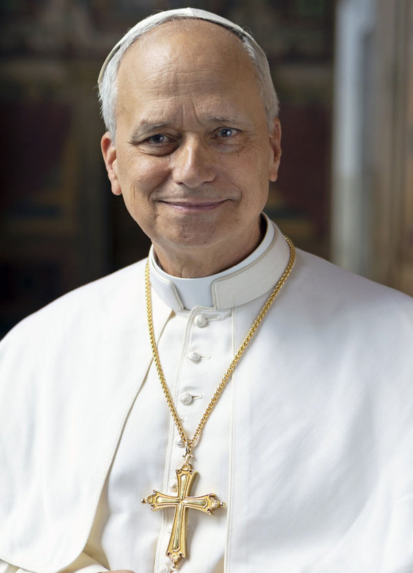
Pope Leo XIV 