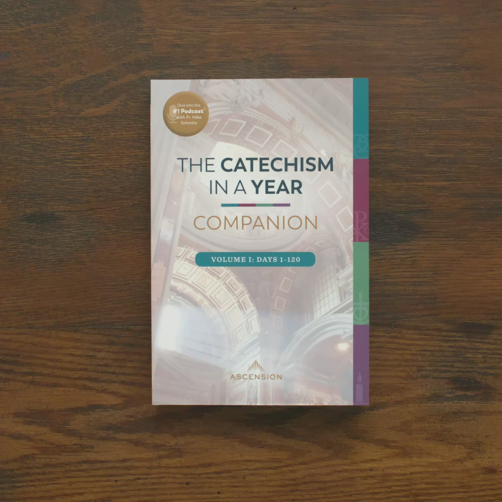 The Catechism in a Year Companion, Volume I