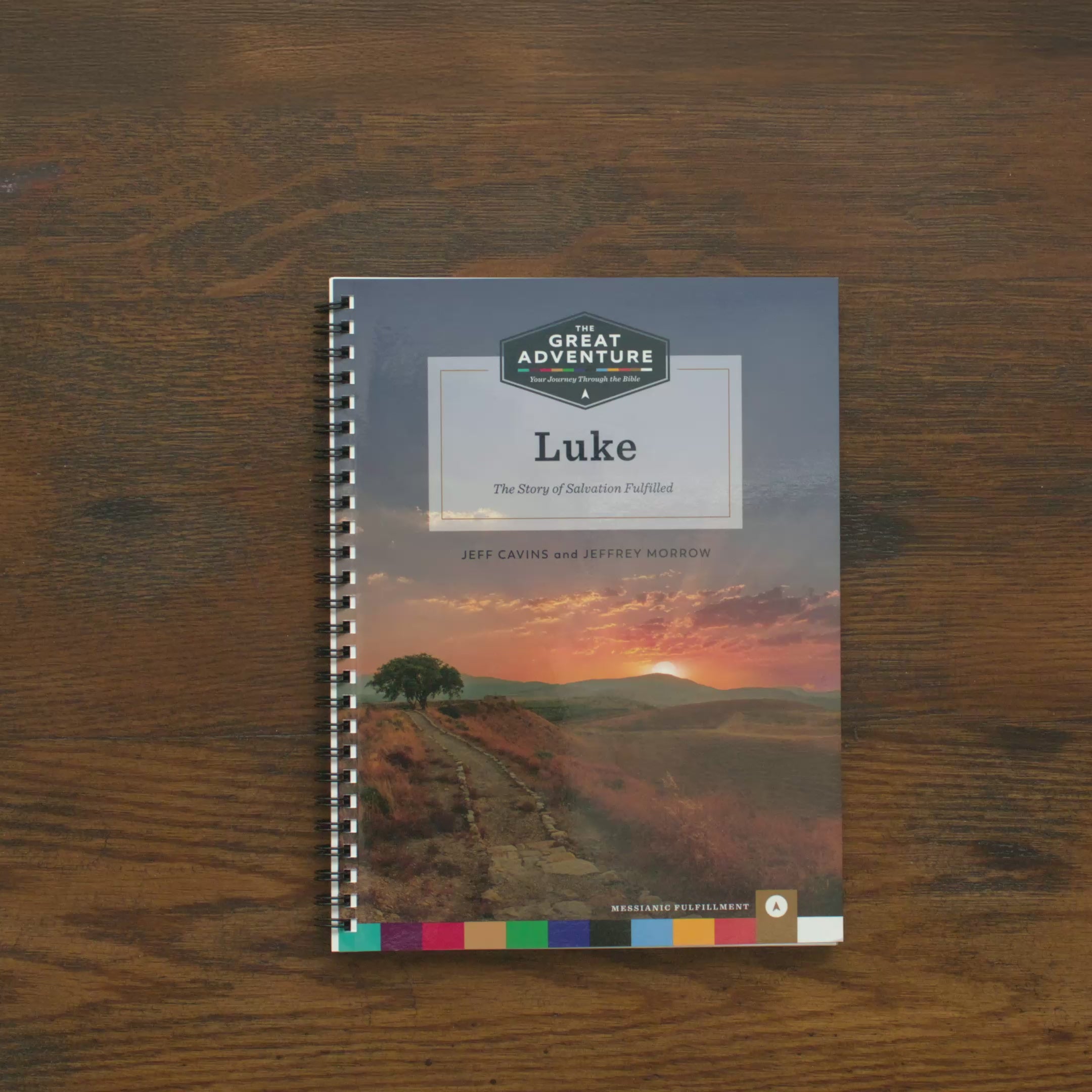 Luke: The Story of Salvation Fulfilled, Workbook