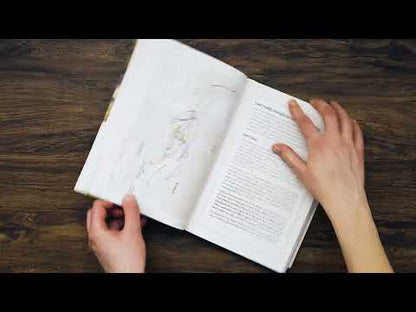 A Catholic Guide to the New Testament