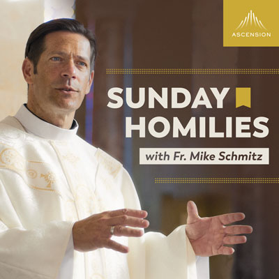 Free Sunday Homilies with Fr. Mike Schmitz 