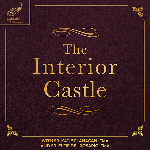 Interior Castle Feature Section