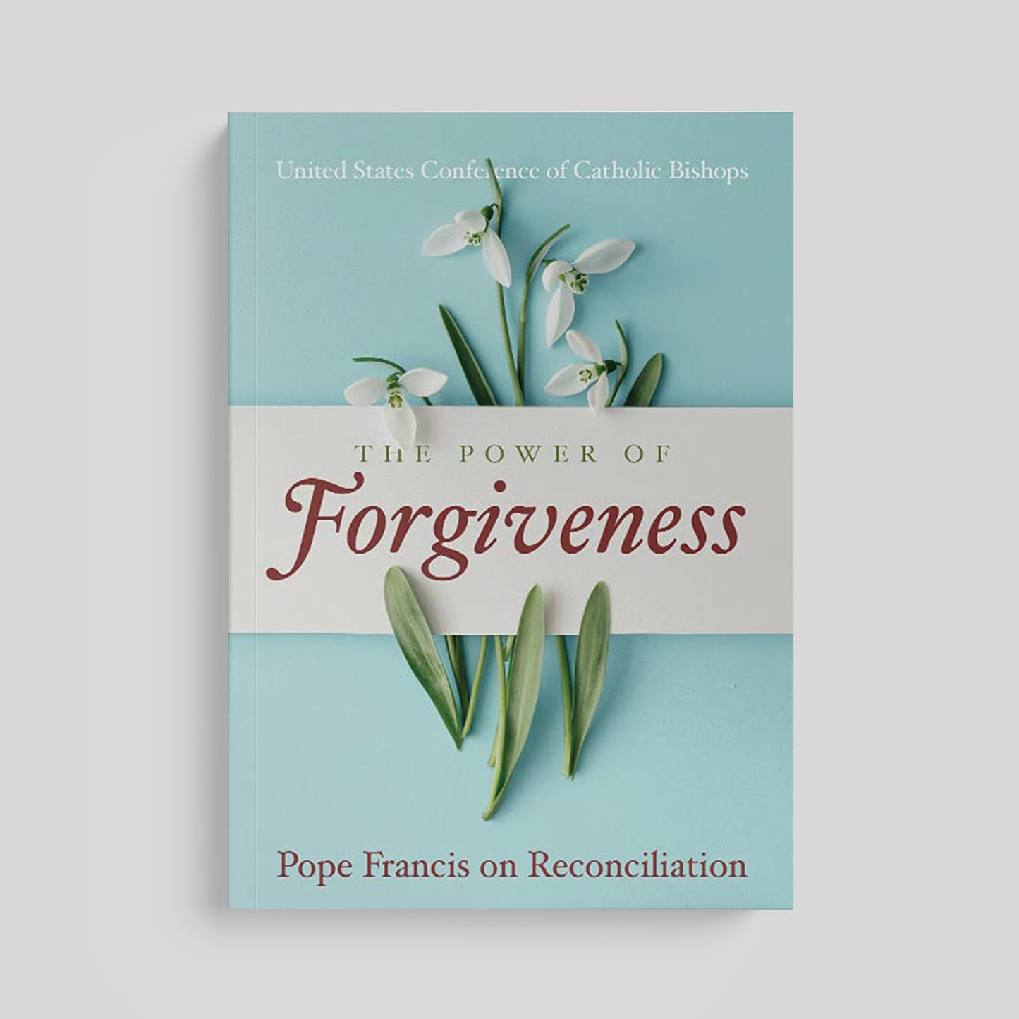 The Power of Forgiveness: Pope Francis on Reconciliation