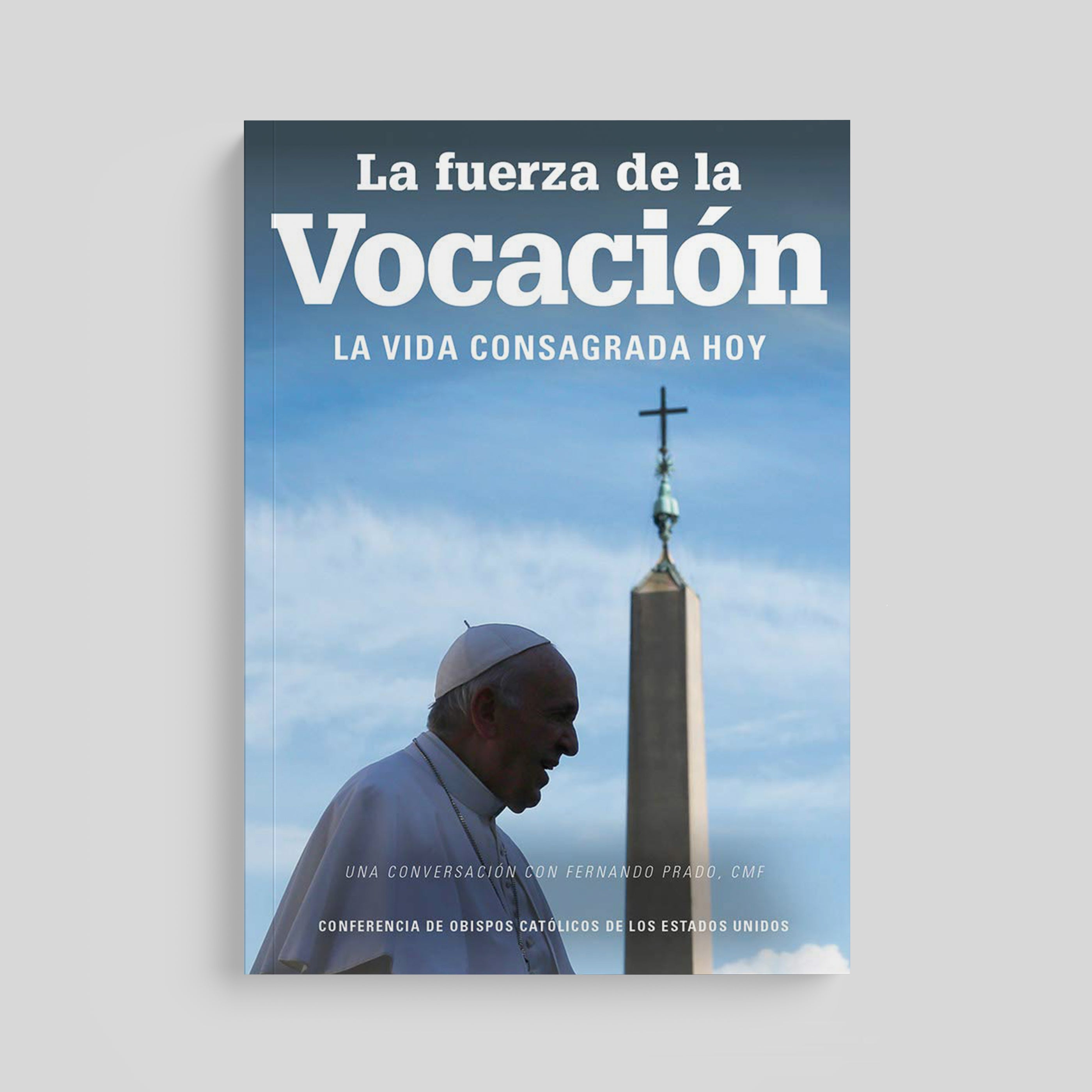 La fuerza de una vocación: la vida consagrada hoy