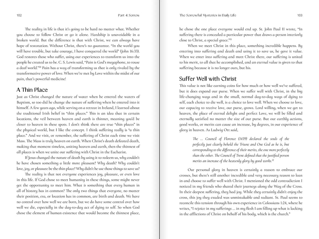 The Way of the Rosary: A Journey with Mary Through Scripture, Liturgy, and Life