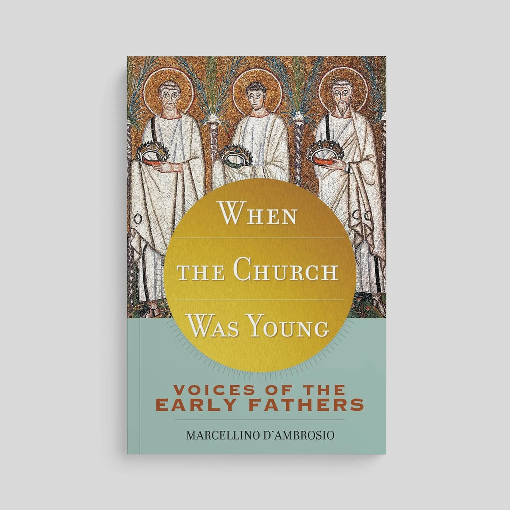 Book cover of 'When the Church Was Young' with early Christian figures on a gray background