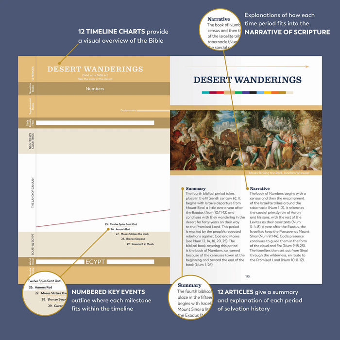 Why The Great Adventure Catholic Bible?