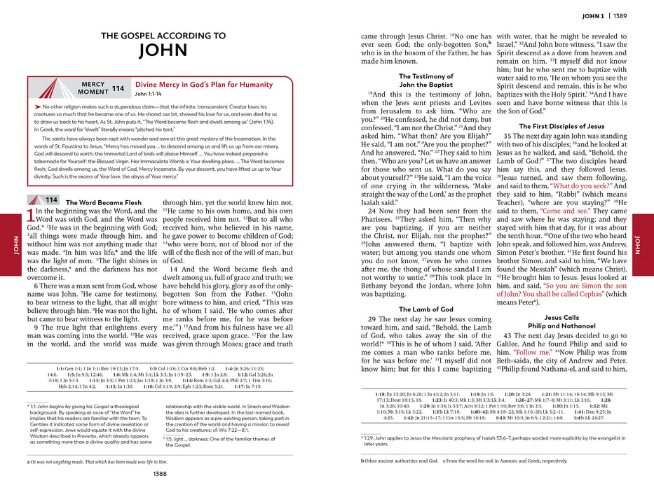 The first couple pages of the Gospel of John with  Divine Mercy moment #114 inside
