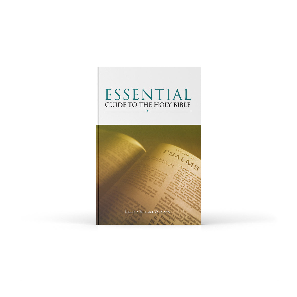 Guía esencial de la Santa Biblia